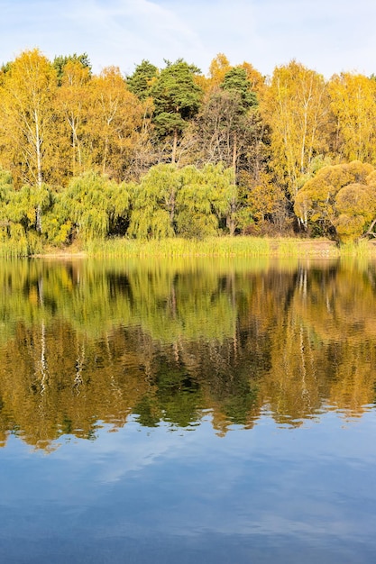 Colorful trees on shore of pond in park in autumn