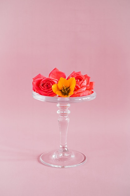 Colorful tropical flowers composition on glass cake stand on pinks, trends composition