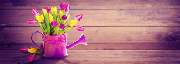 Colorful tulip bouquet in a watering can Concept of spring and gardening