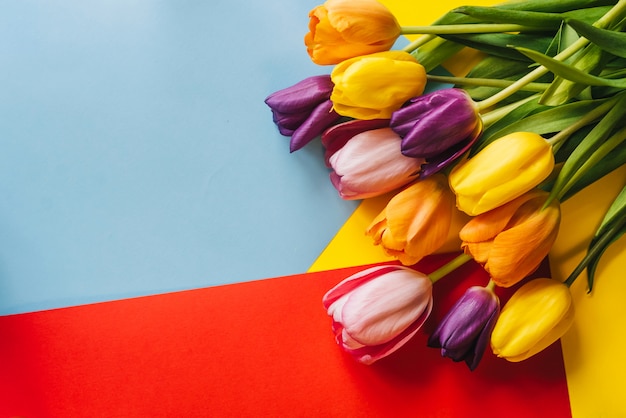 Colorful tulips on a colorful background