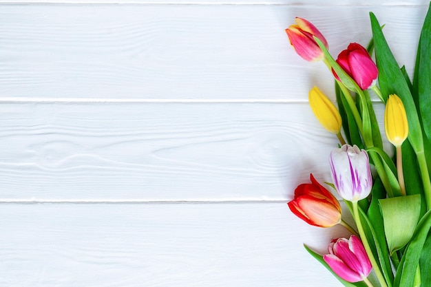 Colorful tulips flower composition over white wooden table background with copy space. Love, Mother's day, Women's day and spring time flower background. Spring nature background.