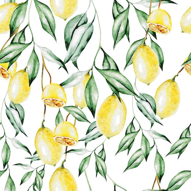 Colorful watercolor pattern with lemon fruits and flowers. Illustrations.