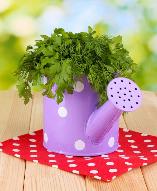 Colorful watering can with parsley and dill on wooden table on natural background