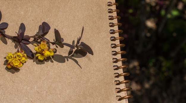 Colorful wild spring flowers in on a spiral a notebook