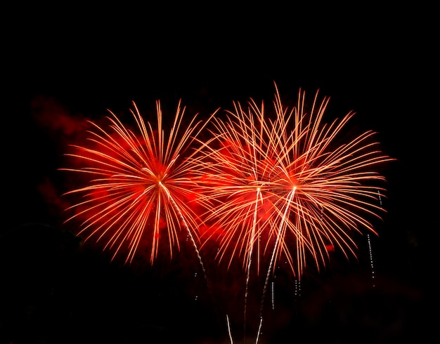 Colourful firework on black