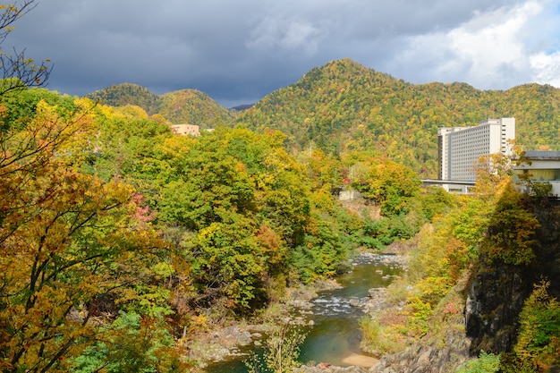 Colourful forest on autumn season in Jozankei, 