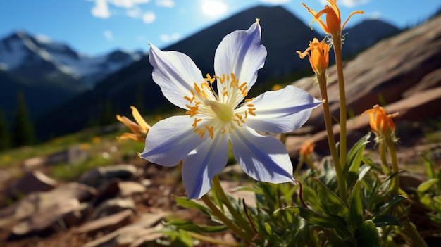 Columbine flower Realistic bloom AI Generated Photo