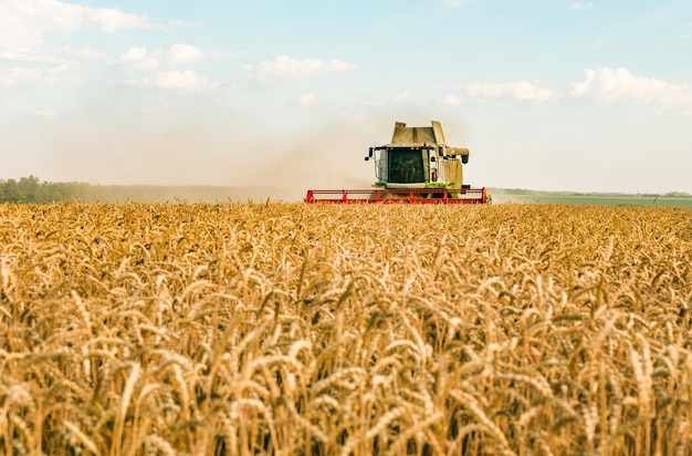 Combine in the field harvests wheat Export and import of wheat World food crisis