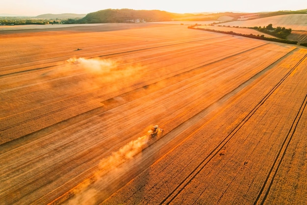 Combine harvester agriculture machine harvesting golden ripe wheat field The harvester is harvesting wheat in the field Grain preparation Agronomy and agriculture