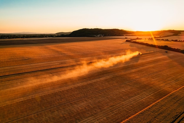 Combine harvester agriculture machine harvesting golden ripe wheat field The harvester is harvesting wheat in the field Grain preparation Agronomy and agriculture