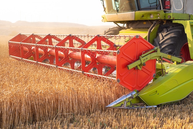 Combine harvester close up. Combine harvester harvesting wheat at sunset.