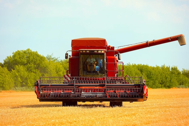 Photo combine harvester in field