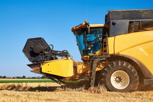 Combine harvester harvesting golden ripe wheat in agricultural field