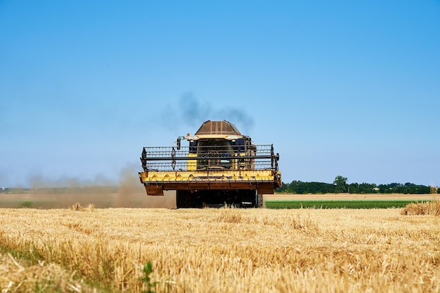 Photo combine harvester harvesting golden ripe wheat in agricultural field