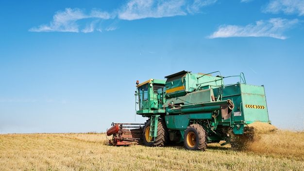 Combine harvester harvests ripe wheat. Agriculture image