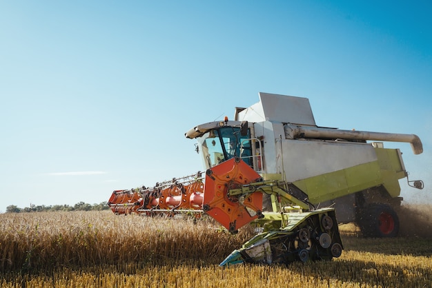 Combine harvester harvests ripe wheat background concept of a rich harvest agriculture image