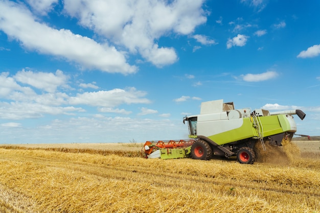 Combine harvester harvests ripe wheat. Concept of a rich harvest. Agriculture image