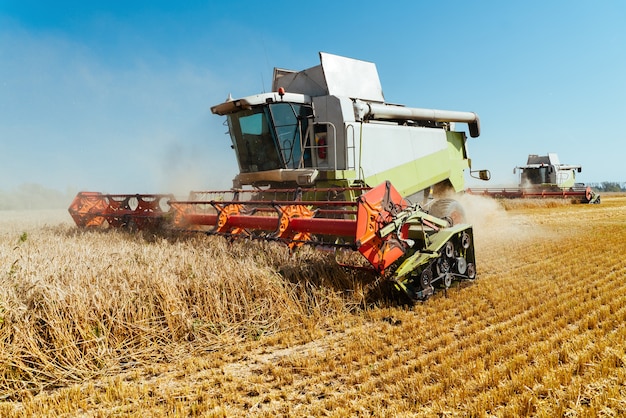 Combine harvester harvests ripe wheat. Concept of a rich harvest. Agriculture image