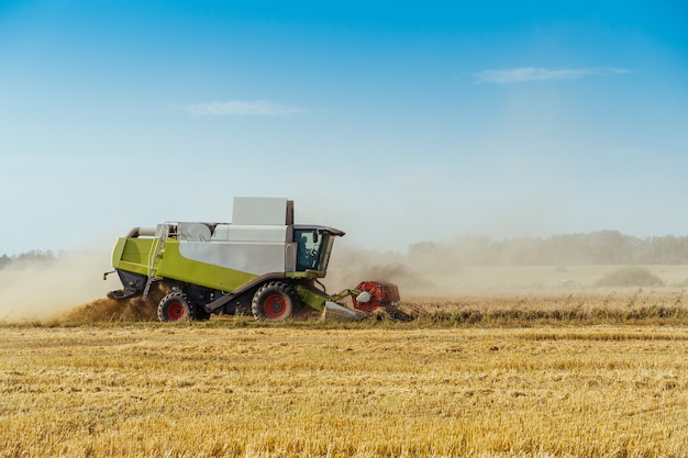 Combine harvester harvests ripe wheat concept of a rich harvest agriculture image