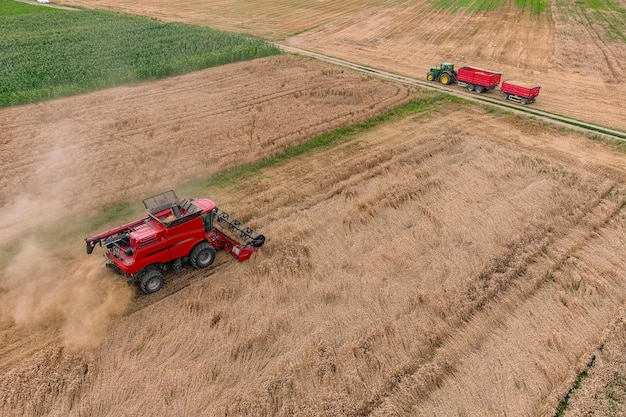 Combine harvester on the wheat field