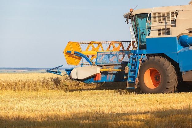 Combine harvester working on sunny summer day.