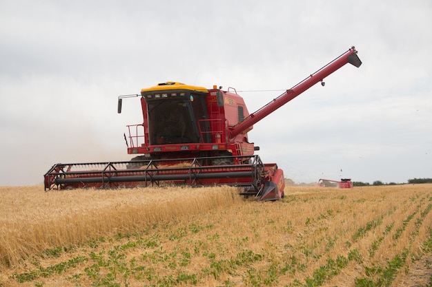 Photo combine harvester working on wheat field