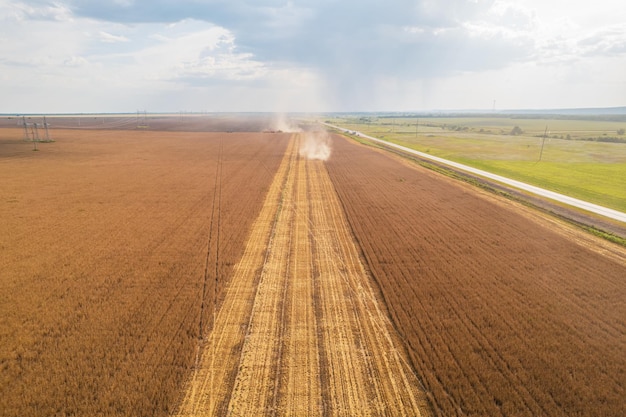 Combine harvesting aerial view of agricultural machine collecting golden ripe wheat into truck