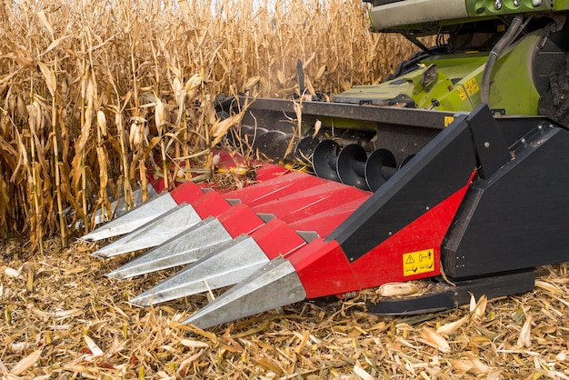 Combine red harvester close up working in a corn field during harvest