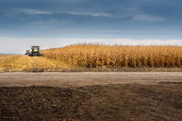 Combine working in a corn field during harvest