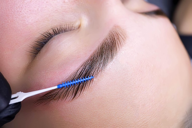 Combing the hairs in the eyebrows with a brush after the procedure of coloring and laminating the eyebrows