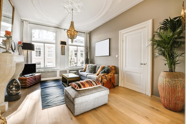 Comfortable living room with gray sofa