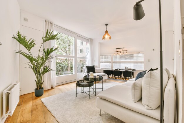 Comfortable living room with stylish sofa and decor