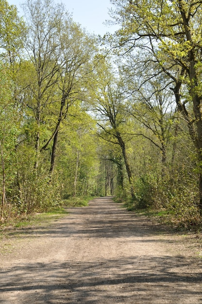 Communal forest of Saint-Pierre-LÃ¨s-Elbeuf