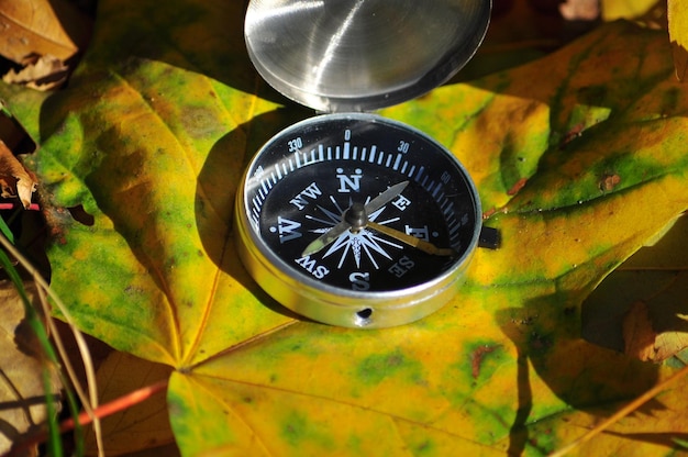 Compass on fallen leaves