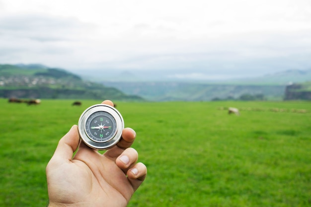 Compass on the scene of a green field and cows during the day