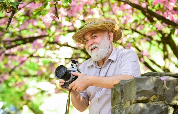 Complete relax man tourist use camera take photo of cherry blossom sakura in bloom photography senior bearded man photographing pink blossom professional photographer designer happy retirement