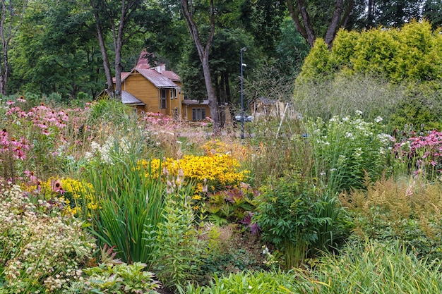 Complex flower bed of perennial plants in the city park. Druskininkai, Lithuania.