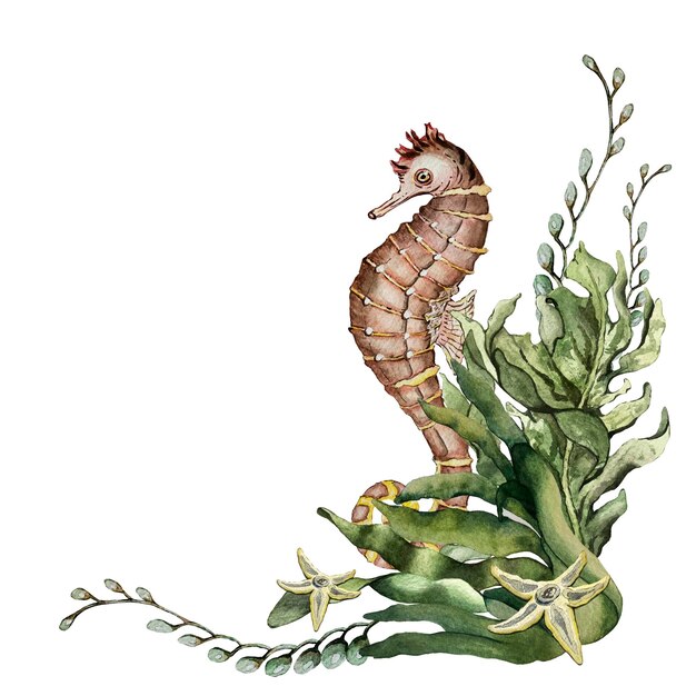 Composition of algae and seahorse High quality watercolor illustration