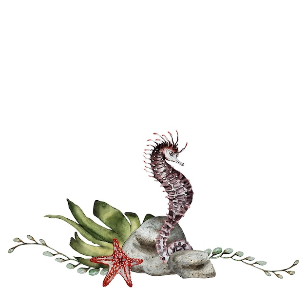 Composition of algae stones seahorse and starfish High quality watercolor illustration