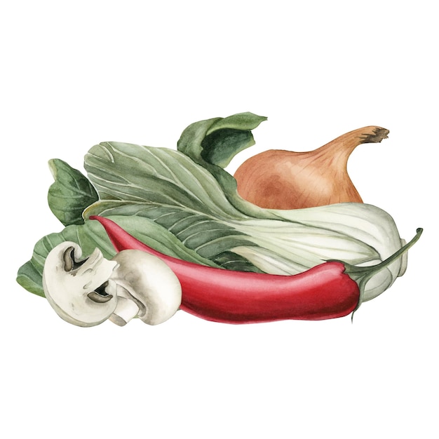 Composition of Bok Choy pepper onion and mushrooms Fresh vegetables Watercolor illustration isolated