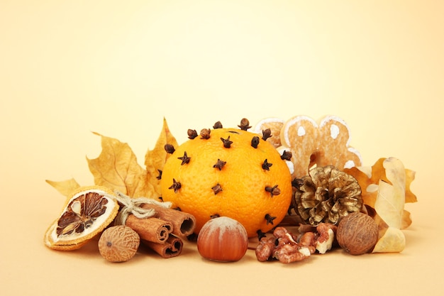 Composition of christmas spices, on beige background