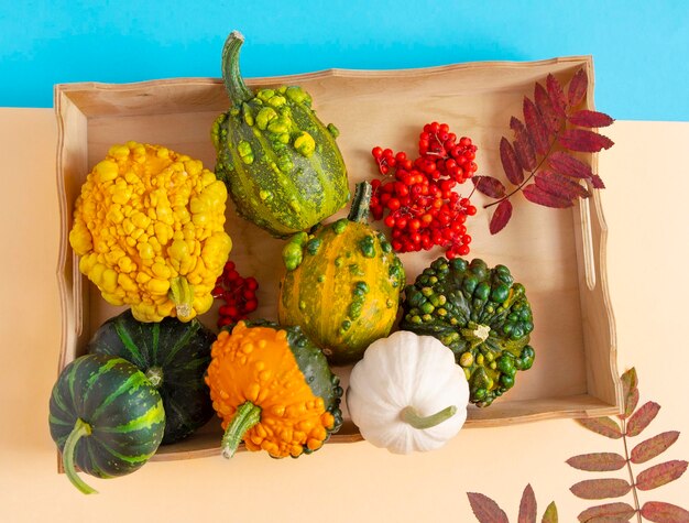 Composition of decorative pumpkins on a blue and pale yellow background