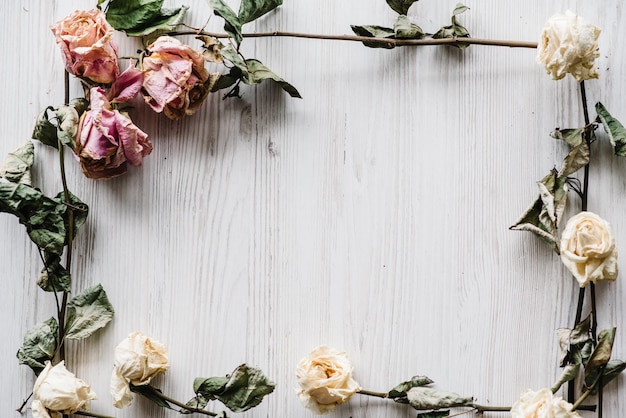 Composition dried rose flowers on a white wooden background Copy space Frame Place for text and design Greeting card Flat lay top view Selective focus