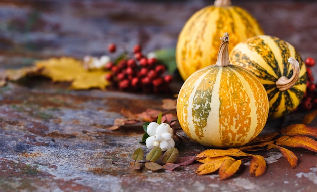 Composition from decorative pumpkins and autumn leaves on the rust, horizontal