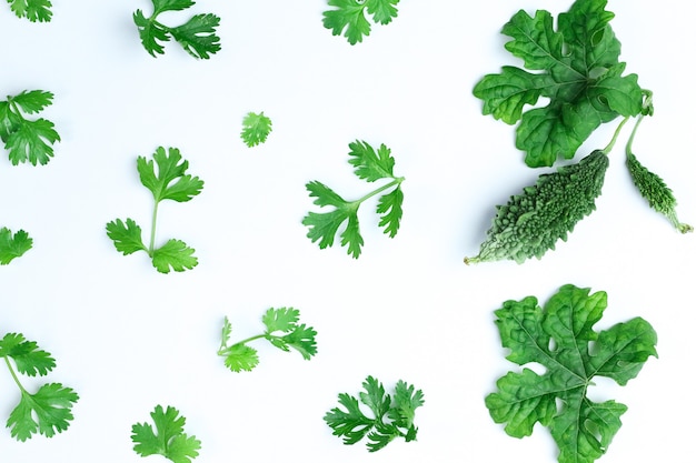 Composition of green coriander leaves and fresh vegetables