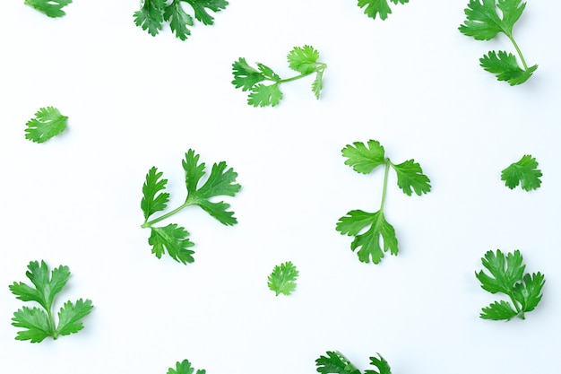 Composition of green coriander leaves and fresh vegetables