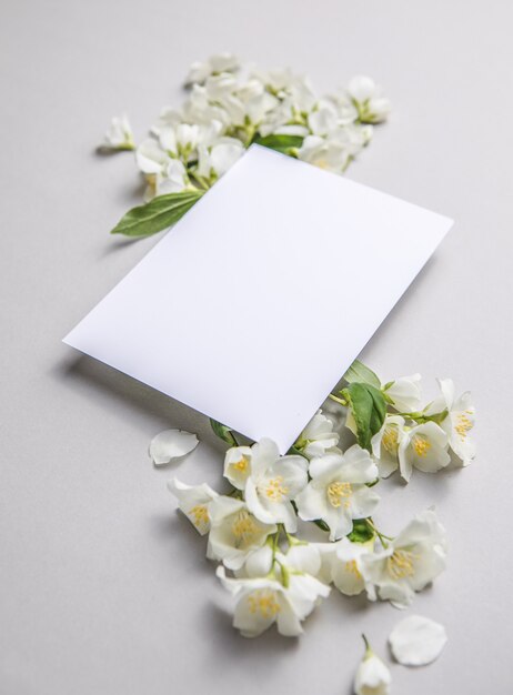 Composition Of Green Leaves And flowers of jasmine  With A Blank Sheet For Text On A gray   Paper Background. Natural Layout For Postcard. Flat Lay