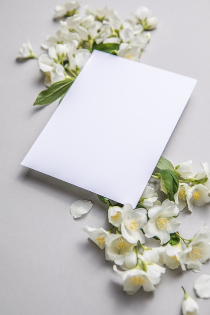 Composition Of Green Leaves And flowers of jasmine  With A Blank Sheet For Text On A gray   Paper Background. Natural Layout For Postcard. Flat Lay