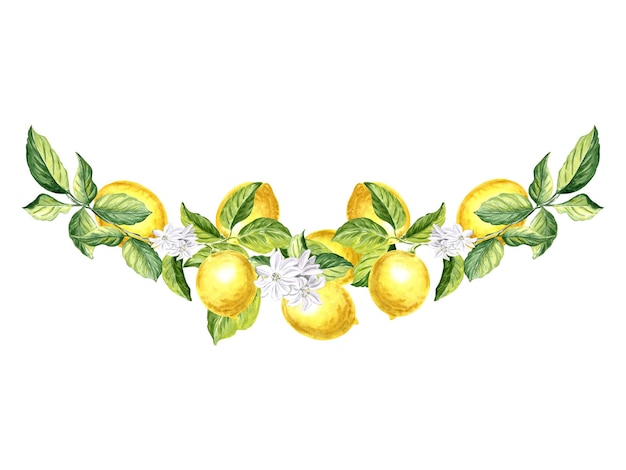 Composition of lemons fruits with green leaves and flowers hand drawn watercolor illustration of