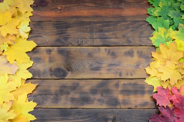 Composition of many yellowing fallen autumn leaves on a background surface of natural wooden boards of dark brown color